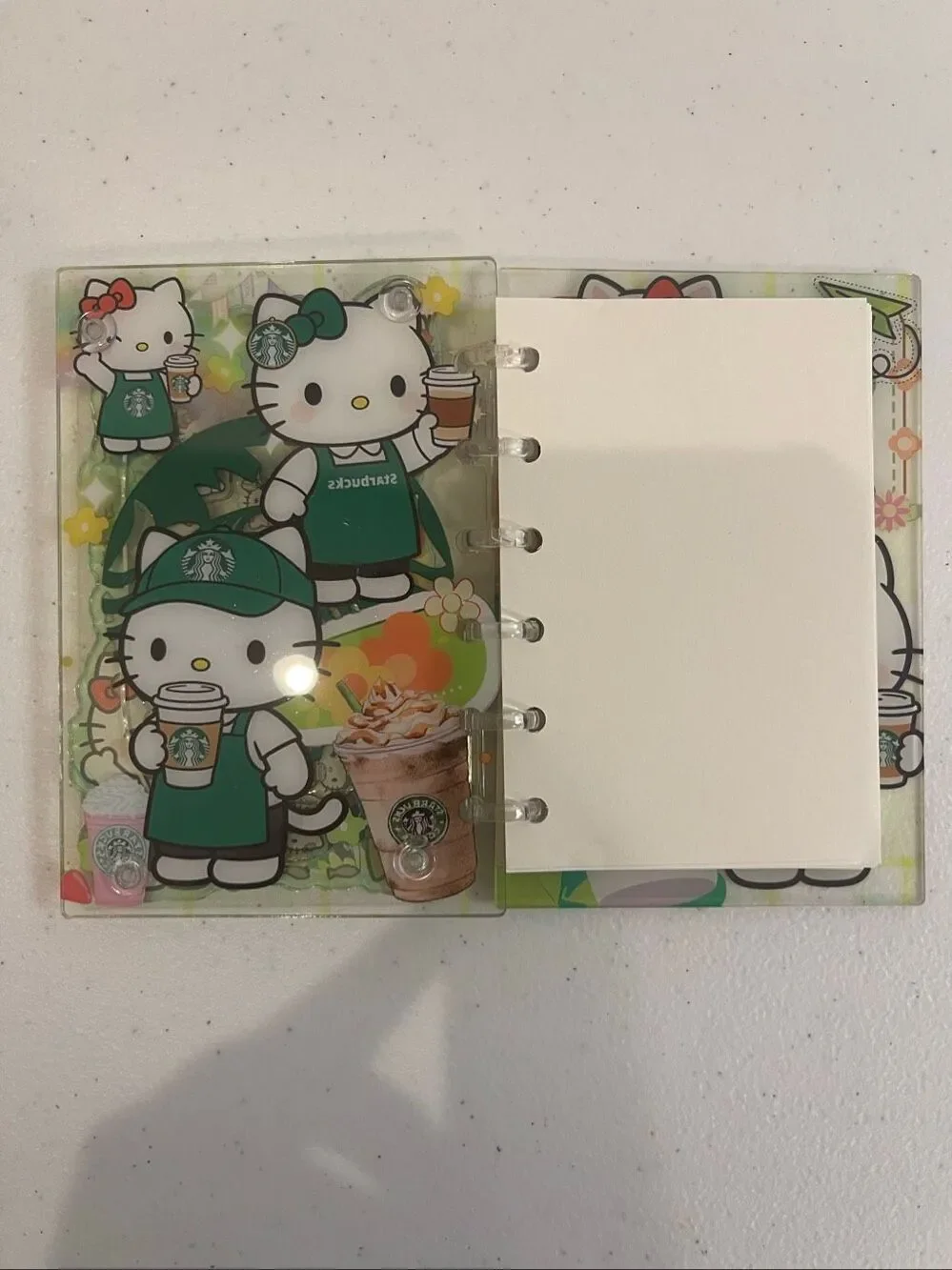 Hello Kitty Acrylic Shaker notebook and pen